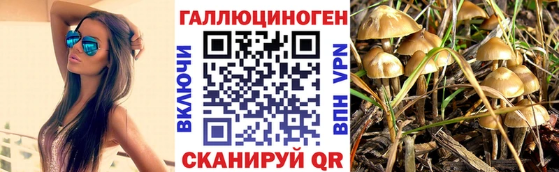 Купить где  Волгореченск  Псилоцибиновые грибы MAGIC MUSHROOMS 