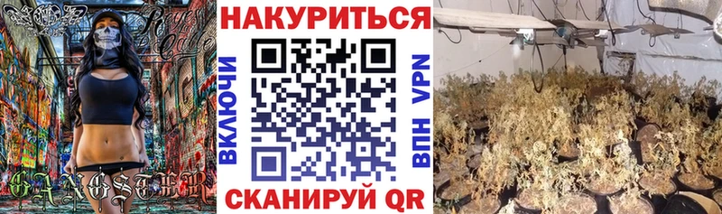Купить  Волгореченск  Марихуана THC 21% 